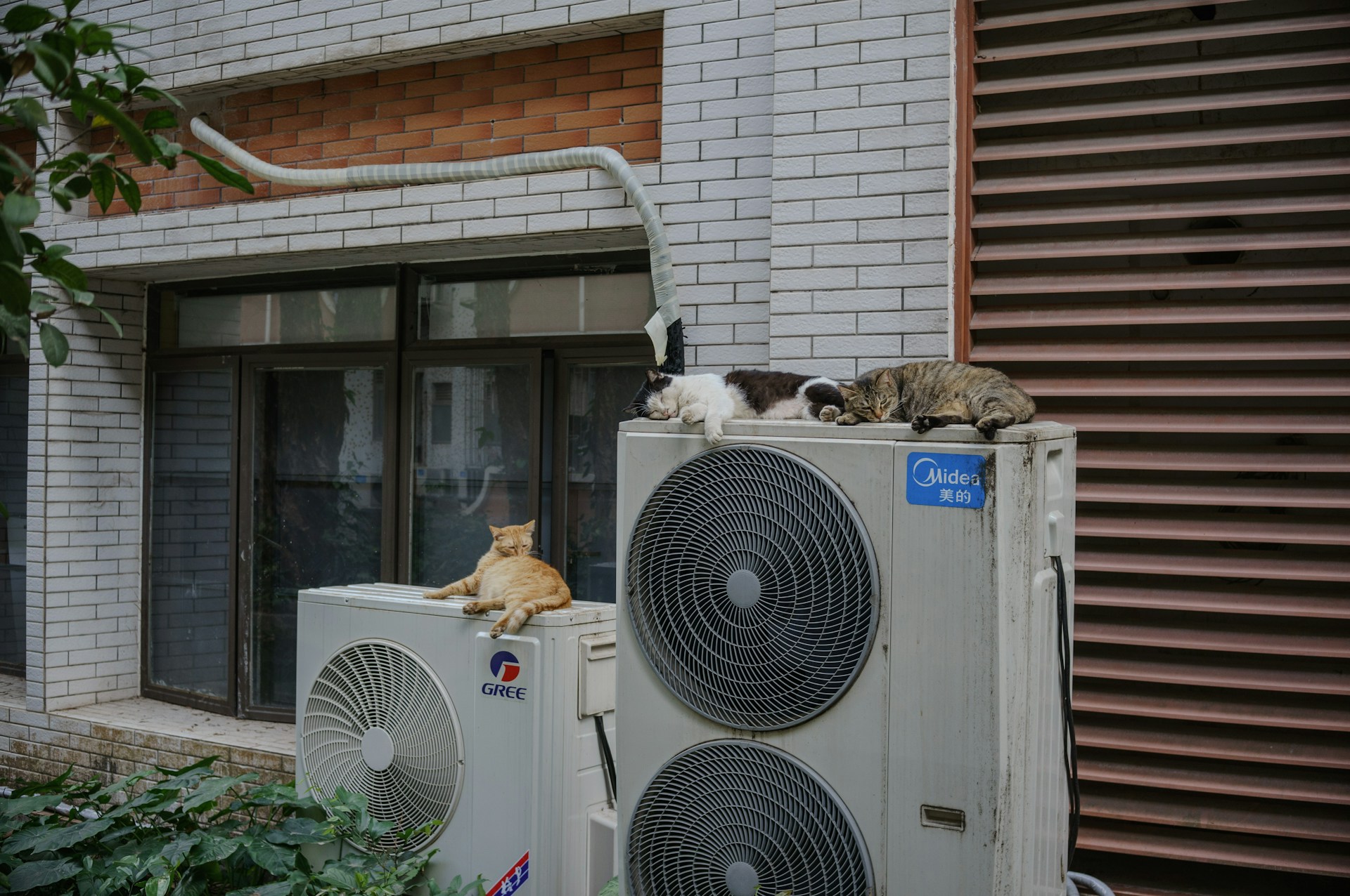 heat pump
